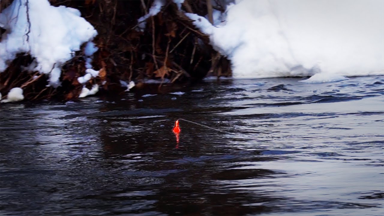 Snowy Steelhead BOBBER DOWNS! Fishing in a Winter Wonderland 