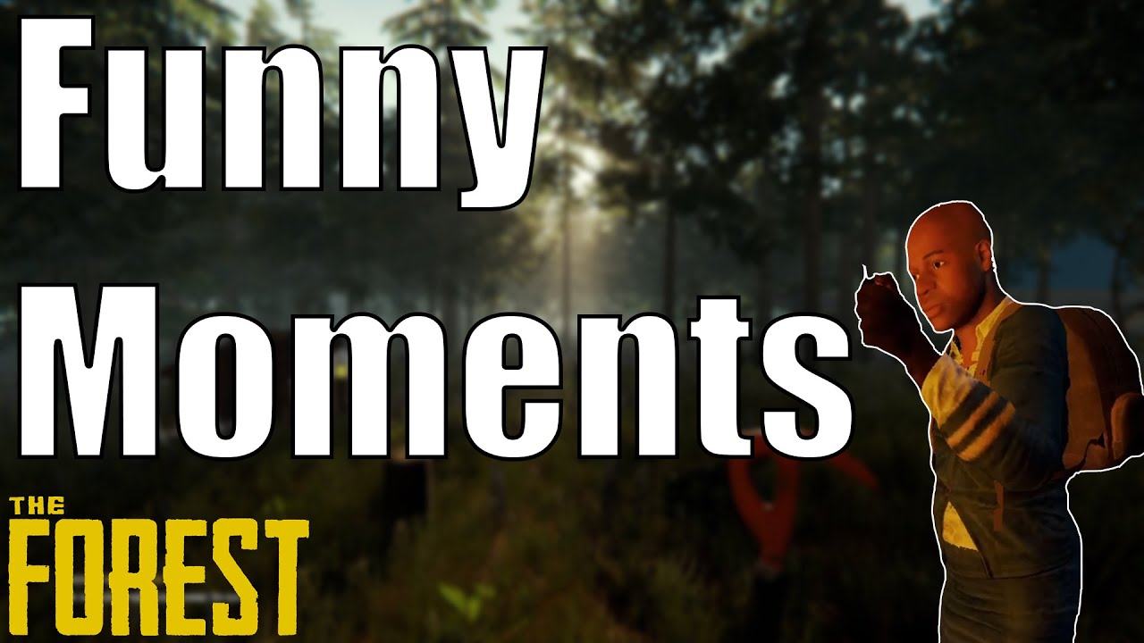 Funny Moments In The Forest