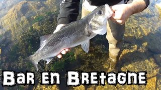 Pêche du bar au leurre souple du bord en Bretagne - HD