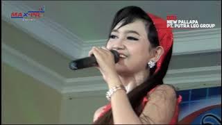 Ilalang Jihan Audi NEW PALLAPA PUTRA LEO 2017