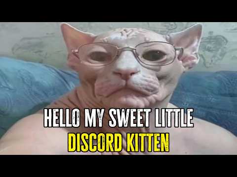 LOCAL D&D PLAYER MAKES CHEESE PIZZA