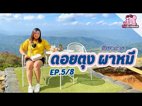 Road Trip ภาคเหนือ EP. 5/8 เที่ยวดอยตุง ผาหมี ร้านกาแฟวิวหลักล้าน (เชียงราย) | IAUAN in Thailand