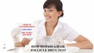 Hair Follicle Drug Test, Pass a Drug Test, Effects of Bleaching and Coloring Hair