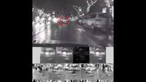 Incremental Visual Tracking