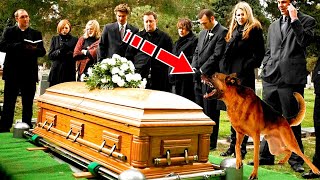 The dog barked at his owner's coffin. When people opened it, they screamed in horror!