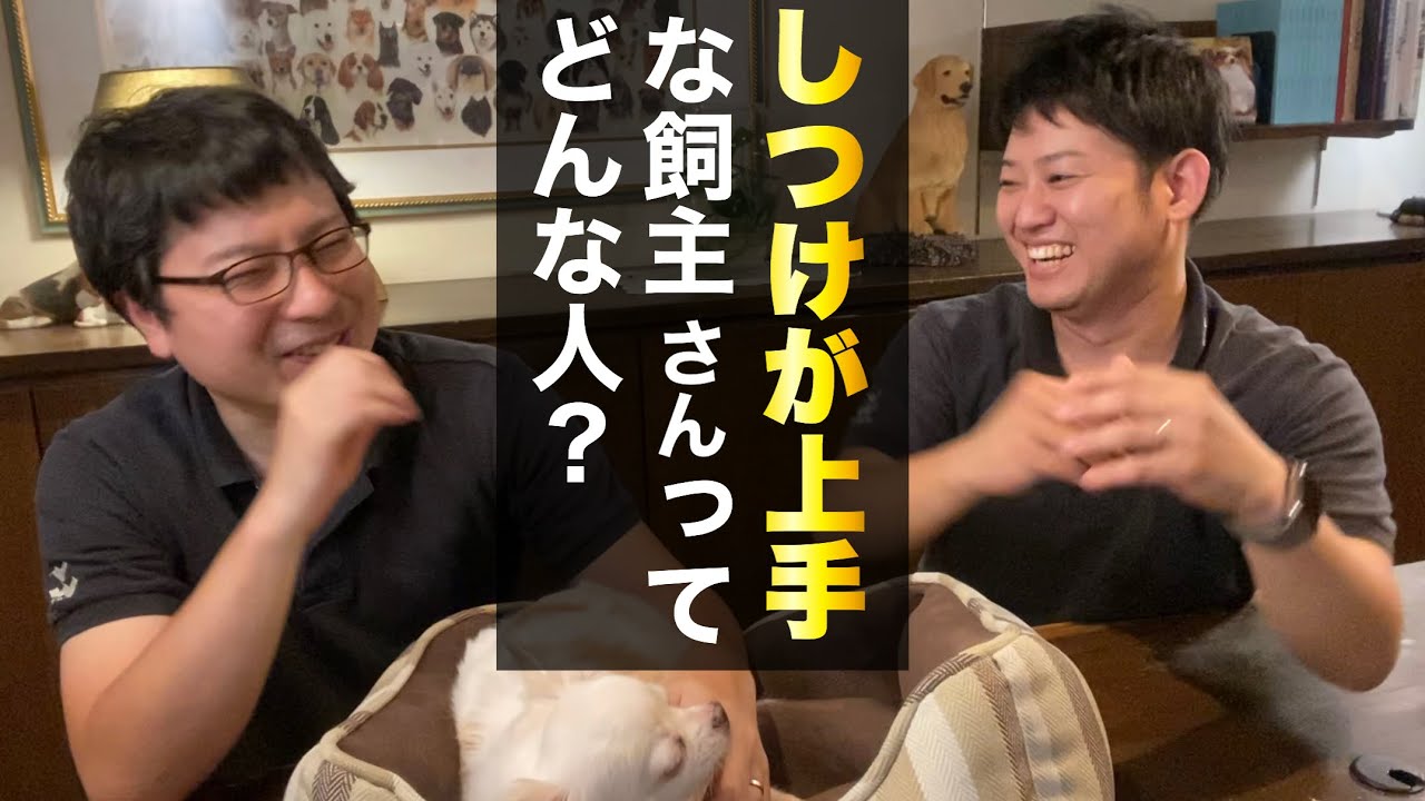 ペットショップ店長が思う、しつけが上手な飼主さんの特徴 3 選!