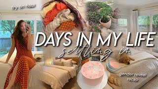 DAYS IN MY LIFE | settling in, house projects, summer clothing haul, gender reveal prep &amp; recap!