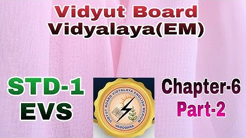 698. Std -1, EVS ,Chapter-6, Part-2 | Vidyut Board Vidyalaya | BHAGYESH THAKKAR