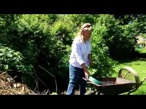 Cheltenham Green Doors, Foxfield Permaculture Garden - YouTube