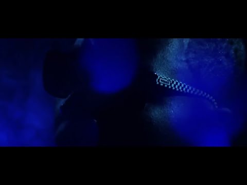 ☆Moshey Ben Yahudah☆ G-rap Hiphop trap artworks-BA0k2TjW3yKNJ8T8-