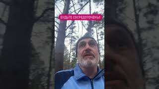 Внимание к деталям и преданность делу - вот и Победа!