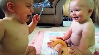 The best 20 babies fighting for toys