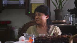 杨宁:什么是使命