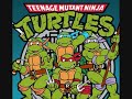 Teenage Mutant Ninja Turtles Theme