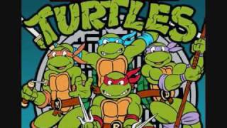 The tmnt theme song. if you want song, download it here:
http://www.megaupload.com/?d=dybvtbgd