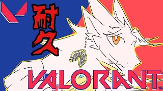 【ドラゴンV】地獄のランク耐久配信【VALORANT】