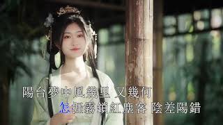 Liu Keyi - The Kite's Mistake - 만다린