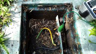 Cara Mengukur Grounding Penangkal Petir