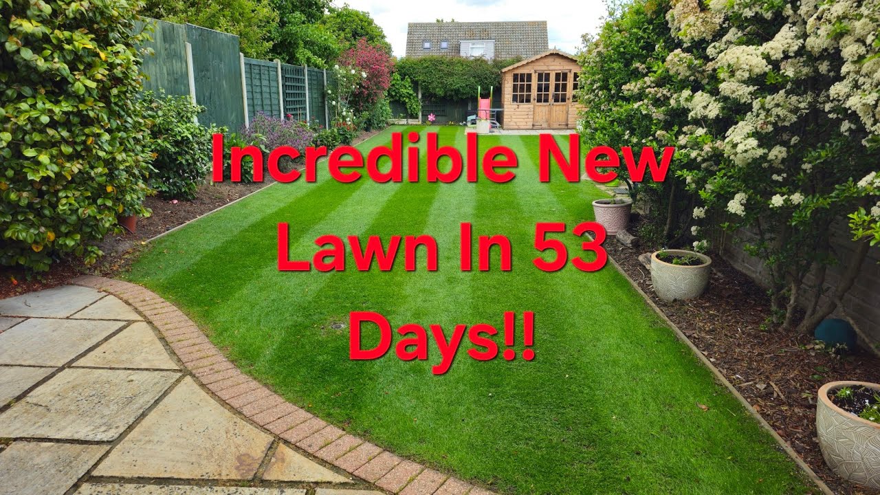 CSI Creeping Ryegrass. See it grow in this 53 day time-lapse video 👍