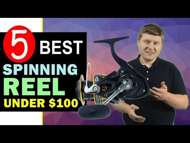 Best Budget Spinning Reel 2023 🏆 Top 5 Best Spinning Reel under