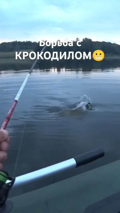 Рыбалка в НОВОСИБИРСКЕ!!! #fishing #рыбалка2024 #ловлящуки # ...