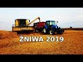 Żniwing 2019😂 |new holland TC5.70&new holland t6.175 ||ursus w obiektywie||