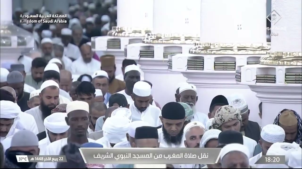 صلاة المغرب ليوم ٢٢-٤-١٤٤٨هـ لفضيلة اللشيخ #عبدالله_القرافي