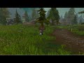 My investments going into Prepatch and TBC Anniversary