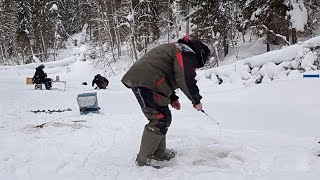 Рыбалка на маленькой лесной речке.