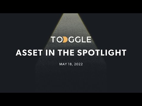 Zoom (NASDAQ:ZM) - Asset in the Spotlight