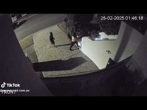 When thieves rob the wrong house 
