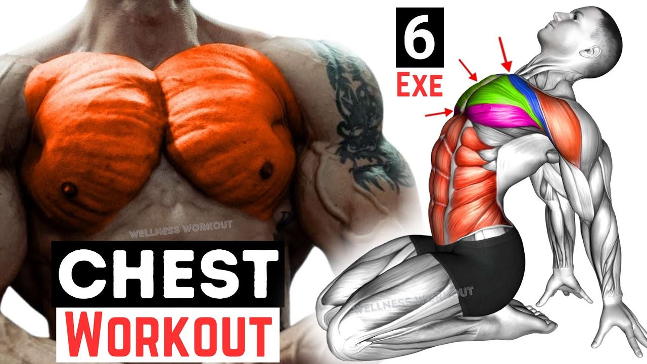 How to Build Bigger Chest | Best Chest Workout for Strength - YouTube