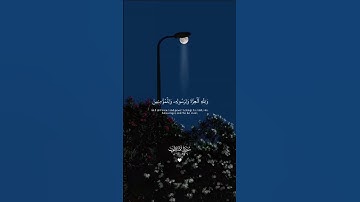 تلاوة هادئة تريح الأعصاب 😴🎧 القارئ: طارق محمد سورة: المنافقون 💙❤
