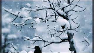 Grup Munzur Pukelela