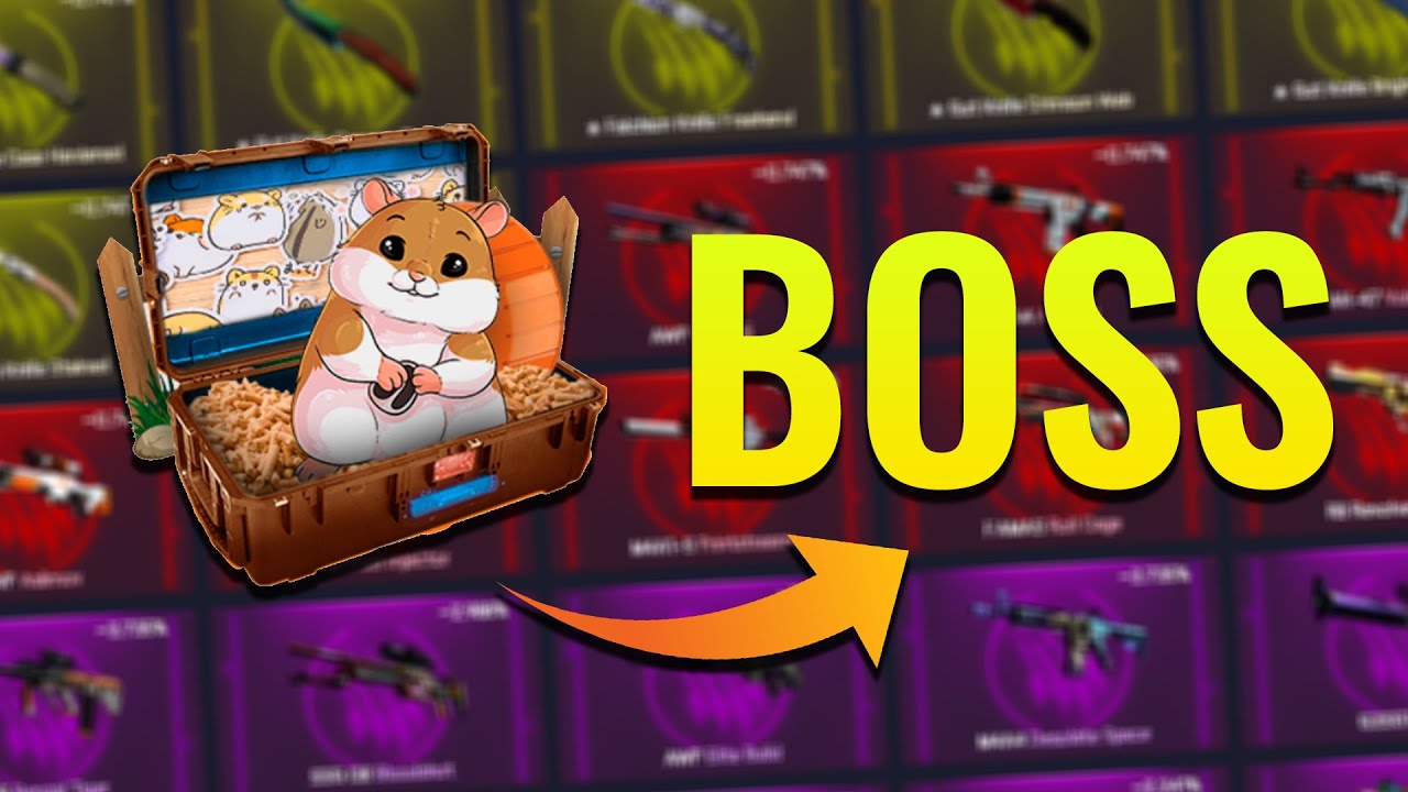 der HAMSTER ist ein ENDGEGNER 💰 CSGO Gambling [18+] - YouTube