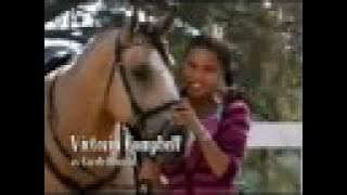 Saddle Club New Series