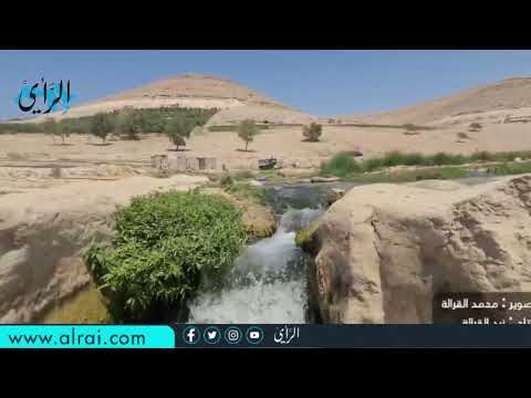 الوالة في دقيقة