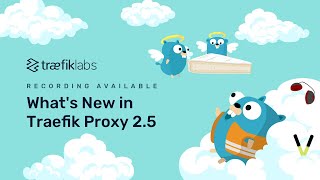 Online Meetup: What's New in Traefik Proxy 2.5