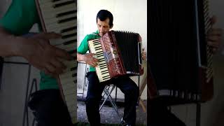 Video thumbnail of "Bien Majestuoso, Tapecito Villalba"