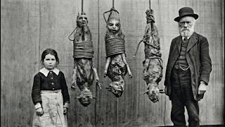 📷▶ 100 PHOTOS That TERRIFIED The Entire World — Scientists Still Can’t Explain Them