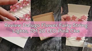 Review Dalugo Flower Fairy String Lights, 2M 20 LED Pink Cherry Blossom Lights with Timing Function,