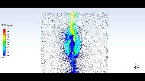 Velocity vectors, CFD simulation (LES, WALE) of the heat generated by a standing subject
