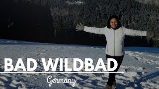 Germany: Bad Wildbad and Tree Top Walk Black Forest