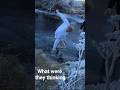 What Were They Thinking #32 #subscribe #shorts #funny#comedy #trending #youtube #shortsfeed