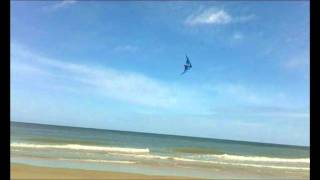 Prism Quantum Trick Kite and Dyneema !