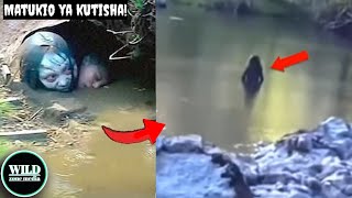 KAMA Matukio Haya YASINGEREKODIWA Hakuna Ambae ANGEAMINI Kilichotokea