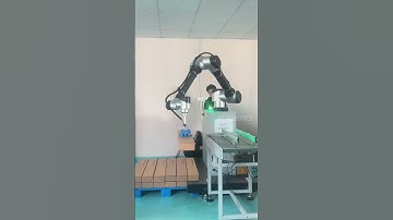 payload 20Kg Automatic Cobot Palletizer #machine #aoutomatic #cobot #palletizing