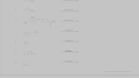 Online Biomedical Engineering Assignment Help