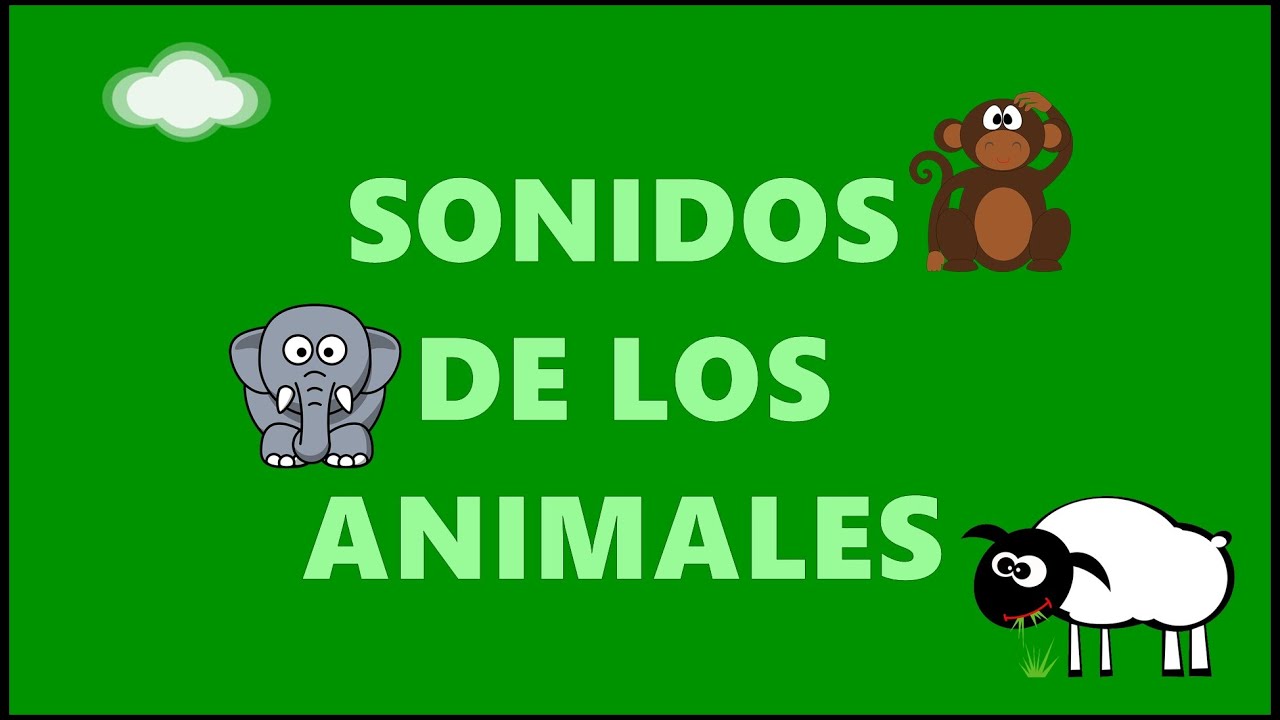 Impermeable Partido ropa interior Los Sonidos de los Animales - Sounds of Animals in Spanish - Vídeos para  niños - YouTube