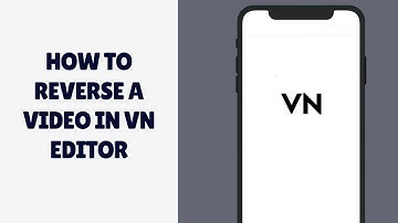 How to Reverse a Video in VN Editor